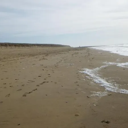 Grande Maison Familiale Piscine Chauffee Proche Plages Villa L'Ile-d'Olonne